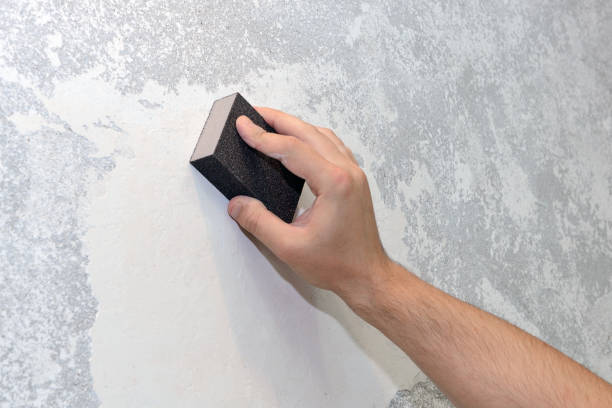 Best Commercial Mold Inspection  in Cuba City, WI