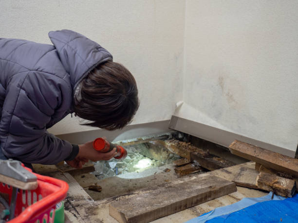 Best HVAC Mold Inspection and Cleaning  in Cuba City, WI