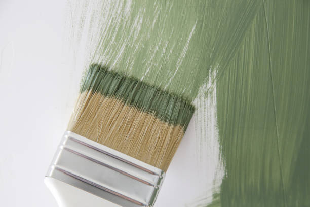 Best Environmental Consulting for Mold Prevention  in Cuba City, WI