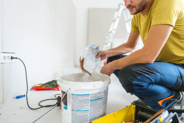 Best Water Damage & Mold Remediation  in Cuba City, WI