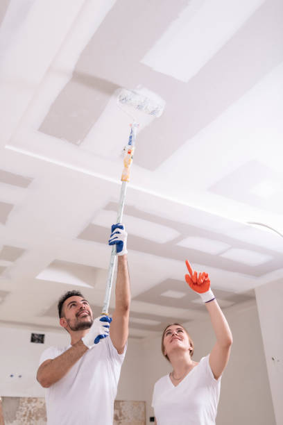 Professional Mold Removal in Cuba City, WI