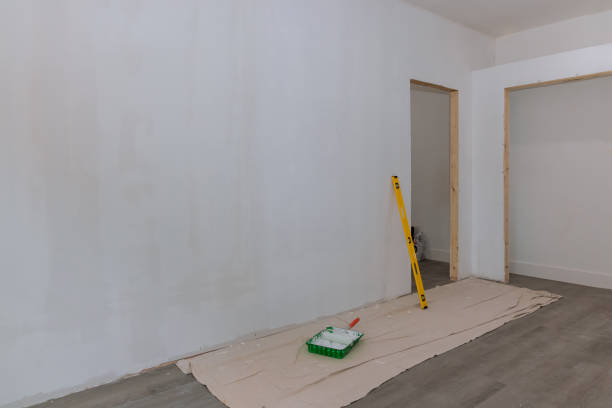 Best Black Mold Removal  in Cuba City, WI