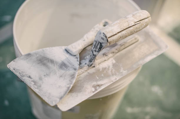 Best Post-Construction Mold Inspection  in Cuba City, WI