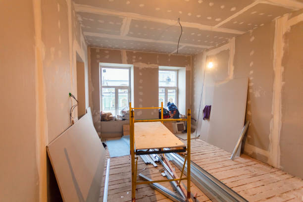 Best Industrial Mold Remediation  in Cuba City, WI