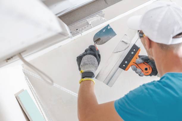 Best Attic Mold Removal  in Cuba City, WI